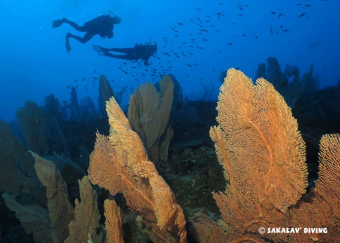 liveaboard dive cruise Nosy Be Madagascar